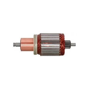 Induzido Bosch Ford Cargo Eletronico 24V
