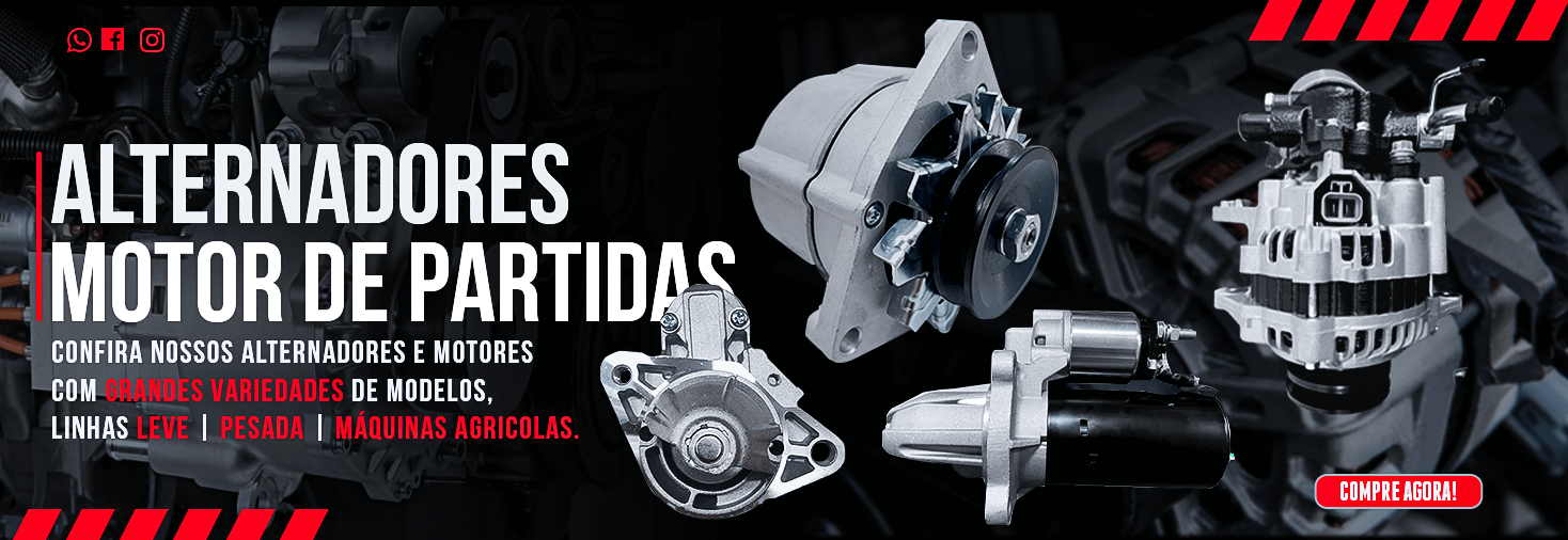 2-MOTOR-E-ALTERNADORES